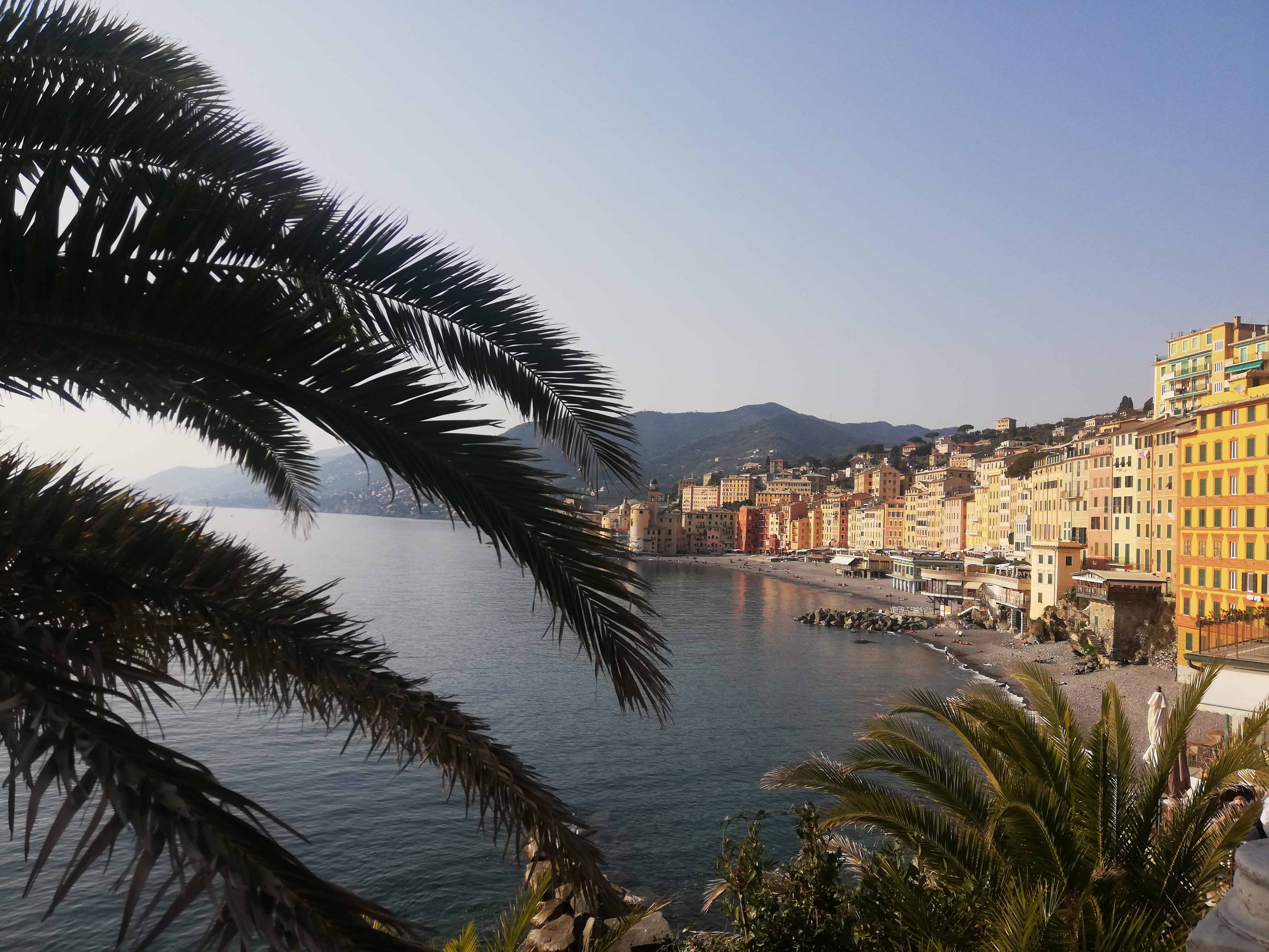 Science with a view: the coast of small fisher men village Camogli as seen from the hotel terrace.